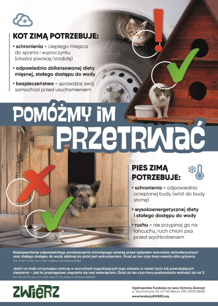 plakat zwierzęta zimą