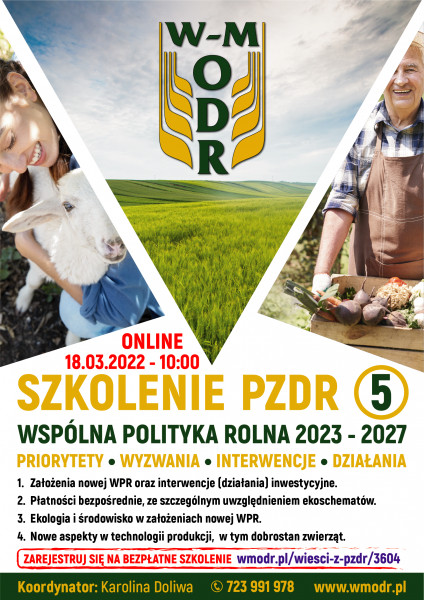 plakat szkolenie